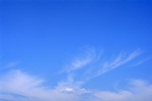 静岡市清水区にある安心・落ち着いた雰囲気の家族葬専門斎場｜富士葬祭 双樹の特徴とサービス内容