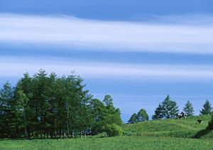 静岡県藤枝市に根ざした信頼の葬儀サービス｜富士葬祭 藤枝城南の特徴と詳細情報